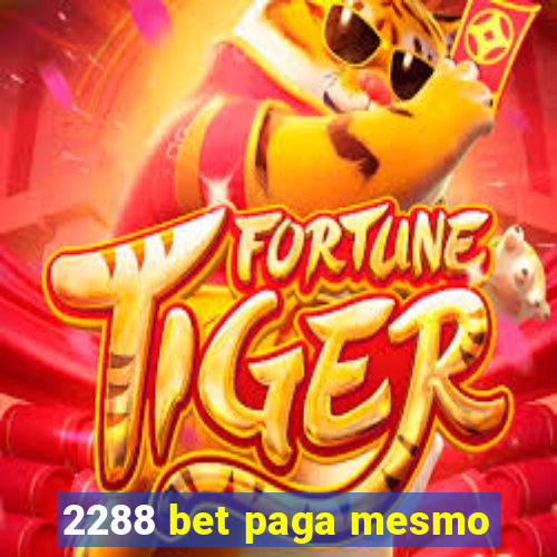 2288 bet paga mesmo